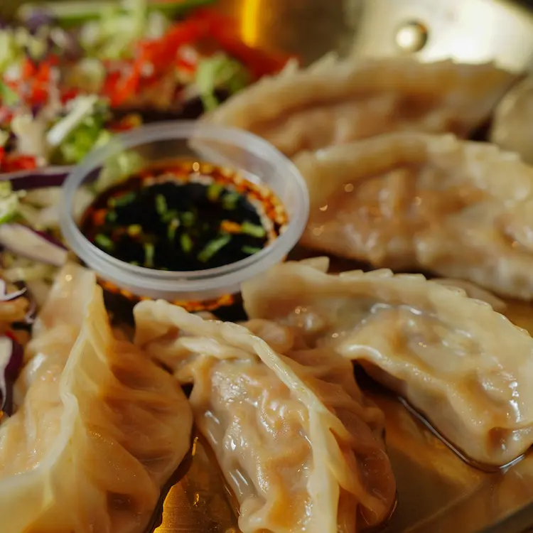 image of 5 pork gyozas fanned on a plate with garnish and sauce in the middle